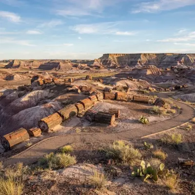 Petrified Forest
