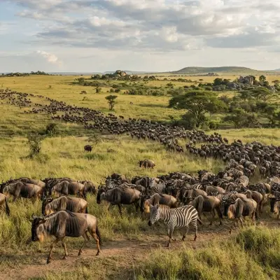Serengeti Migration Areas