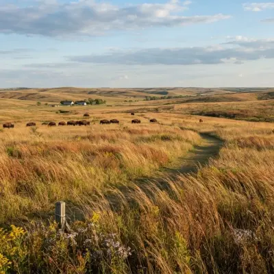 Tallgrass Prairie National Preserve