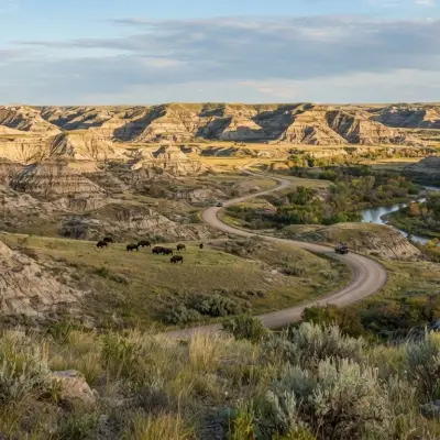 Theodore Roosevelt National Park