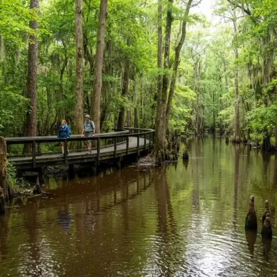 Congaree National Park