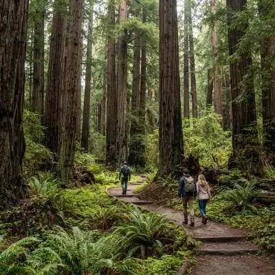 Redwood National and State Parks