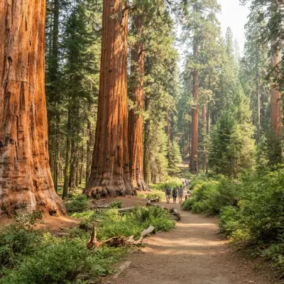 Sequoia National Park