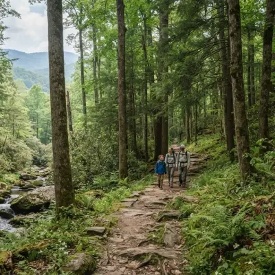 Great Smoky Mountains Forests
