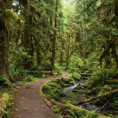Hoh Rain Forest